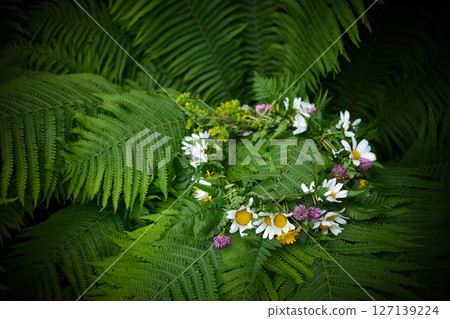 Summer Solstice Day, Midsummer, Floral Wreath on Ferns Summer Solstice Day, Midsummer, Floral Wreath on Ferns 127139224