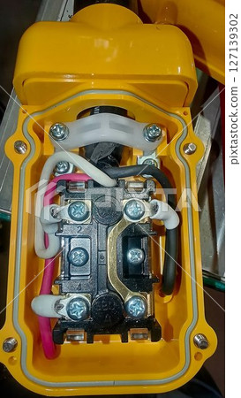 Pendant switch wires and connection terminals 127139302
