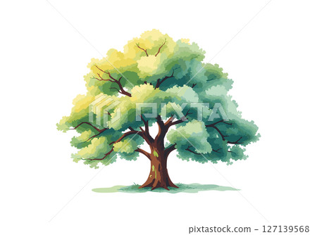 Sprawling tree with a lush crown. 127139568