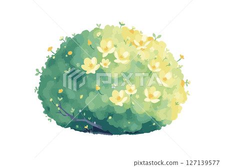 Green bush watercolor vector illustration. 127139577