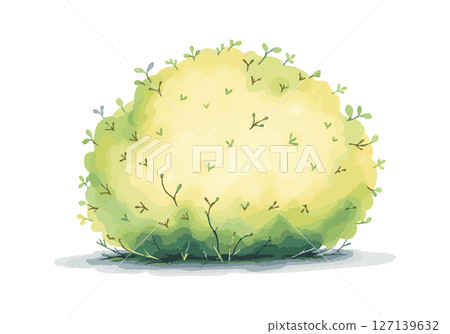 Green bush watercolor vector illustration. Green bush watercolor vector illustration. 127139632