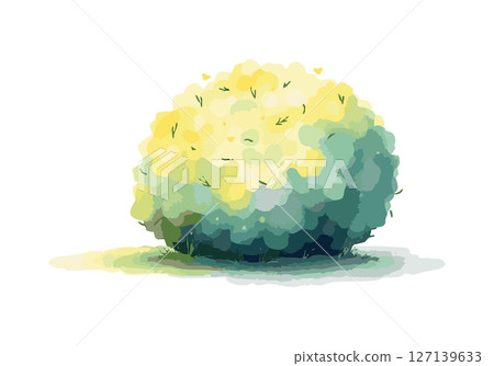 Green bush watercolor vector illustration. 127139633
