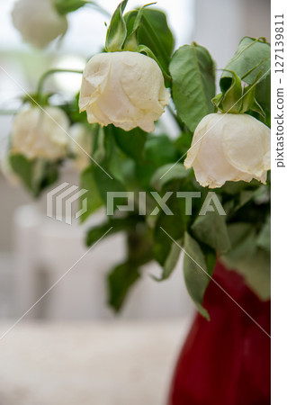Red glass vase with dried white flowers on the window of modern home. Red glass vase with dried white flowers on the window of modern home. 127139811