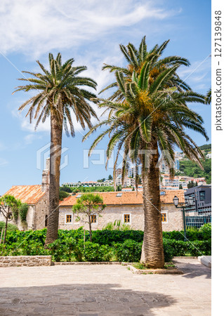 Palm trees in the old town square on a sunny day. Travel, summer holidays, and scenic coastal architecture. Montenegro, Budva 127139848