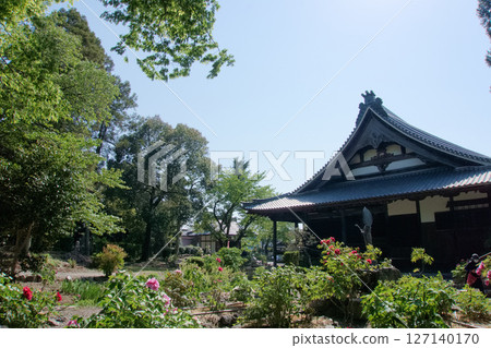 牡丹寺大殿和藍天 牡丹寺大殿和藍天 127140170