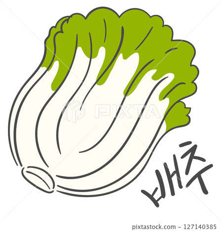 Cabbage illustration and Korean calligraphy Cabbage illustration and Korean calligraphy 127140385