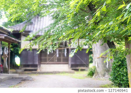 A shrine and sacred tree nestled in a quiet rural area 127140941