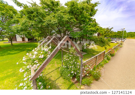 彎點酒莊 彎點酒莊 127141124