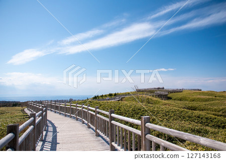 知床戈科 知床戈科 127143168