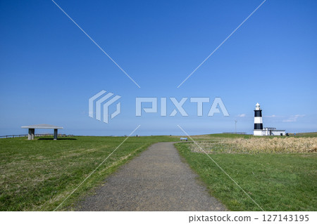 Noguchi Cape 127143195