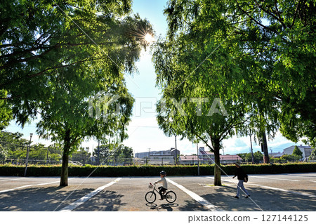 一名男孩和他的母親騎著自行車沿著平塚市番由町的水杉林線行駛 127144125