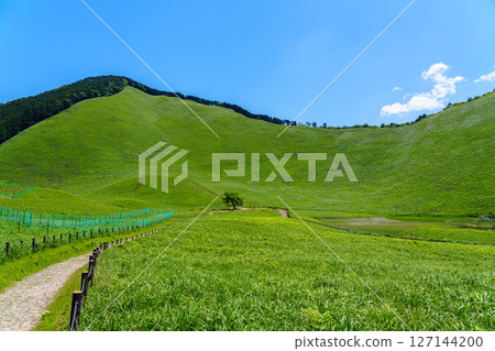 初夏的曾尼高原：從大龜池北側的散步道望去，可以看到大龜池和被高原山脈環繞的蔥鬱草地➅ 127144200
