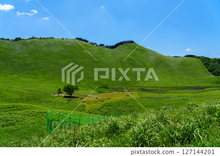 初夏的曾尼高原－從大龜池北側的散步道望去，可以看到大龜池和被高原山脈環繞的蔥鬱草地⑦ 127144201