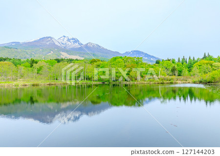 新潟縣妙高市初夏的井盛池 127144203