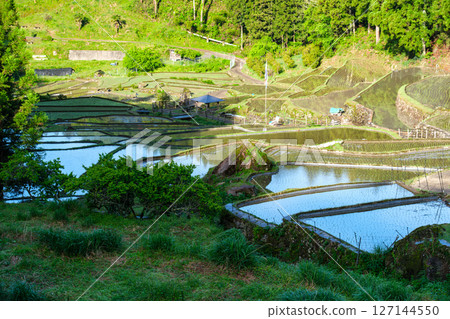 閃亮的薩娜達 127144550