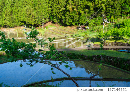 Carp streamer of Tanada Carp streamer of Tanada 127144551