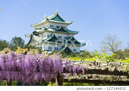 Meijo Park Wisteria Corridor and Nagoya Castle 127144832