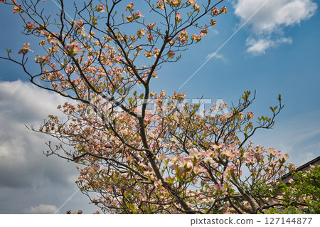 Yuri no Sato Park Yuri no Sato Park 127144877