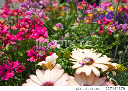 Yuri no Sato Park 127144879