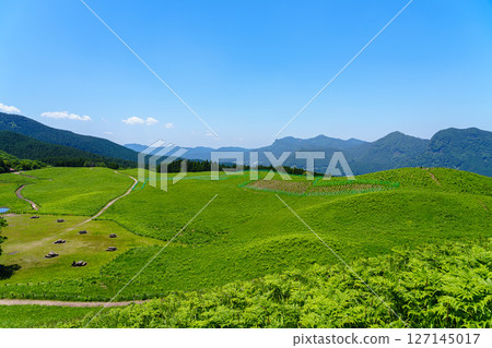 Soni Plateau in early summer. A view from a short hike up the mountain trail to Kameyama Pass. Looking toward the northwestern Soni mountain range. 127145017