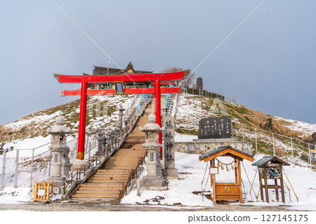 "Aomori Prefecture" Black-tailed Gull breeding ground, winter scenery at Kabushima Shrine, Hachinohe City "Aomori Prefecture" Black-tailed Gull breeding ground, winter scenery at Kabushima Shrine, Hachinohe City 127145175