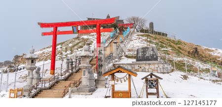 青森縣黑尾鷗的繁殖地、八戶市蕪島神社的冬季風景 127145177