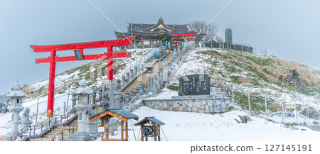 "Aomori Prefecture" Black-tailed Gull breeding ground, winter scenery at Kabushima Shrine, Hachinohe City 127145191