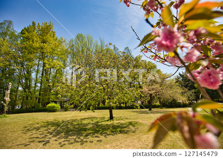 春綠中心 127145479