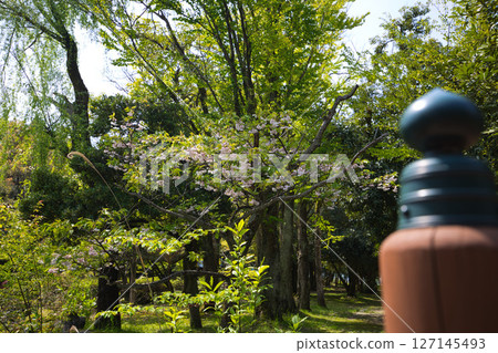 Spring Green Center Spring Green Center 127145493
