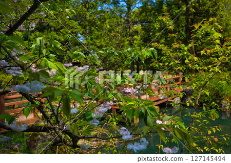 Spring Green Center 127145494