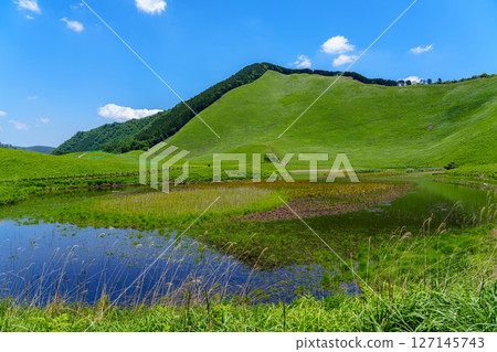 Soni Plateau in early summer: A view from the southern promenade around Okame Pond. Two sedges reflected on the surface of Okame Pond. 127145743