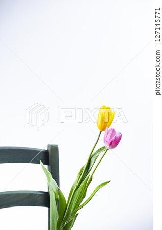 紅色和黃色鬱金香花 紅色和黃色鬱金香花 127145771