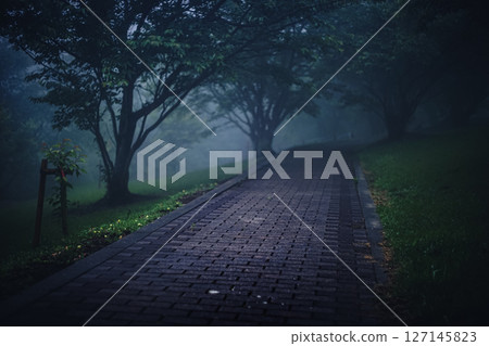 <Goto scenery> Rain and morning mist in the rainy season at Onidake Arboretum 127145823