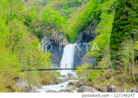 Naena Falls in early summer, Myoko City, Niigata Prefecture Naena Falls in early summer, Myoko City, Niigata Prefecture 127146247