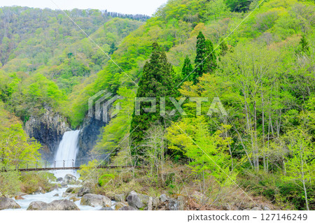 Naena Falls in early summer, Myoko City, Niigata Prefecture Naena Falls in early summer, Myoko City, Niigata Prefecture 127146249