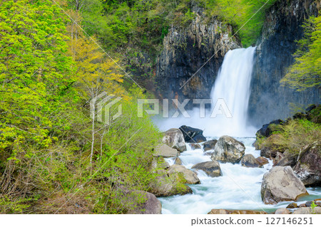 Naena Falls in early summer, Myoko City, Niigata Prefecture 127146251