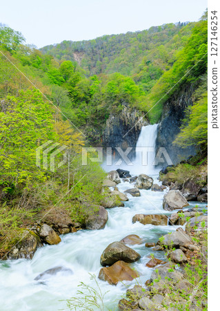 新潟縣妙高市初夏的苗名瀑布 127146254