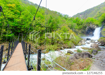新潟縣妙高市初夏的苗名瀑布 127146255