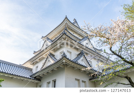 Ogaki Castle Keep in Spring, Ogaki City, Gifu Prefecture 127147013