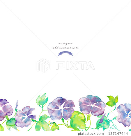 Watercolor illustration of morning glory. Summer morning glory vector watercolor. Summer watercolor background. 127147444