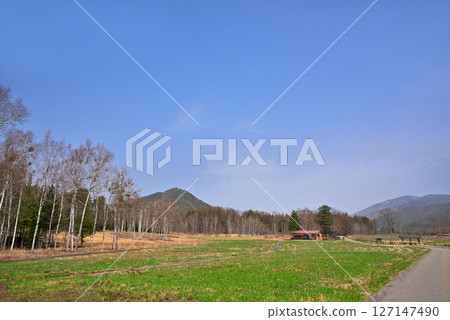 Spring in Kaida Plateau, Nagano Prefecture 127147490