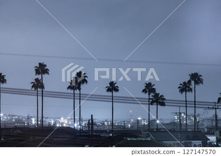 雨季的天空和棕櫚樹 雨季的天空和棕櫚樹 127147570