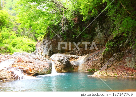 被新綠點亮的山谷和清澈的溪流 127147769