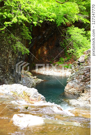 被新綠點亮的山谷和清澈的溪流 127147770