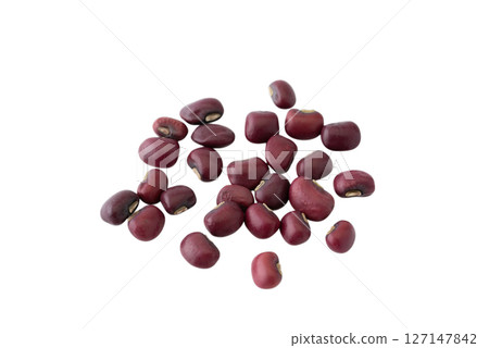 透明背景上的 Sajid (png) 透明背景上的 Sajid (png) 127147842