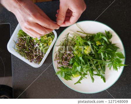 Person is preparing a salad with various greens and herbs 127148009