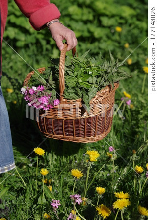 Person is holding a basket full of flowers and herbs in a field Person is holding a basket full of flowers and herbs in a field 127148026
