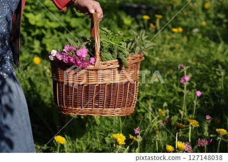 Person is holding a basket full of flowers and herbs in a field 127148038