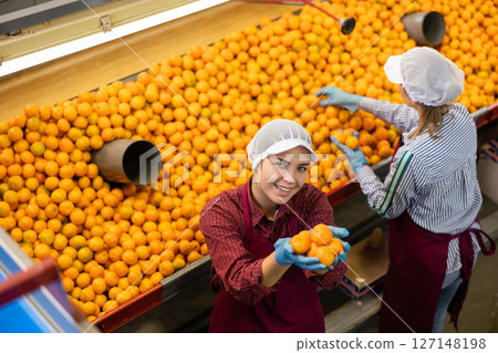 Smiling young female sorter showing ripe mandarins Smiling young female sorter showing ripe mandarins 127148198