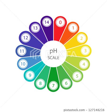 PH Scale diagram. Gauge for acid and alkaline balance. Chemical analysis or test. Vector illustration isolated on white background 127148216